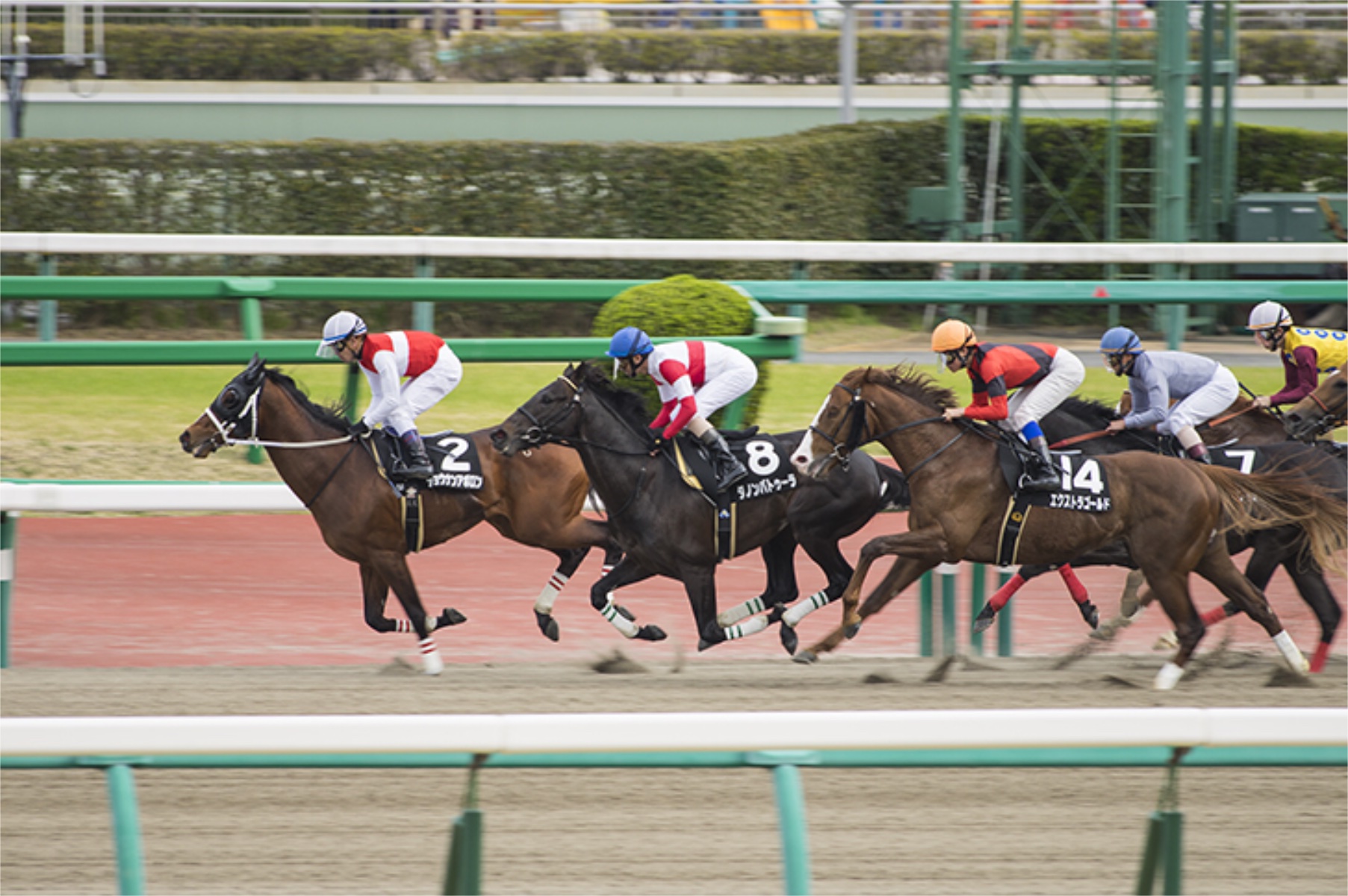 競馬の盛り上がる季節に馬の絵の相馬焼はいかが？｜平安時代から競馬好きな日本人